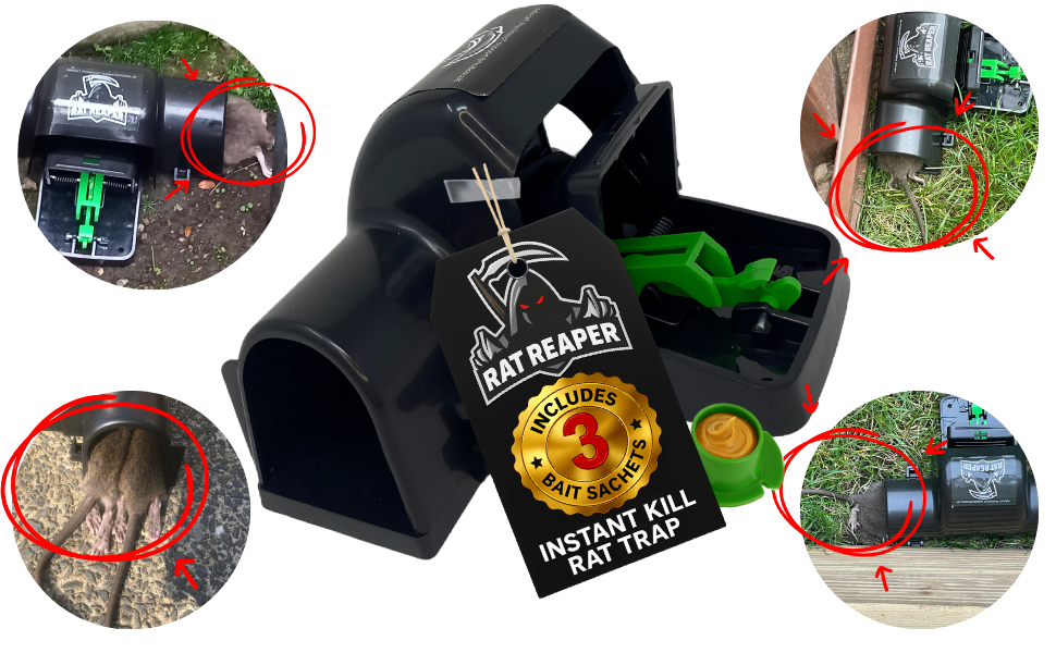 Rat Reaper Hero Photo